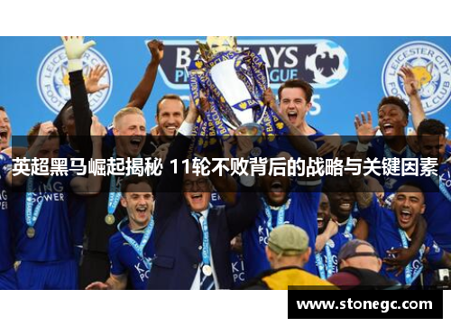 英超黑马崛起揭秘 11轮不败背后的战略与关键因素